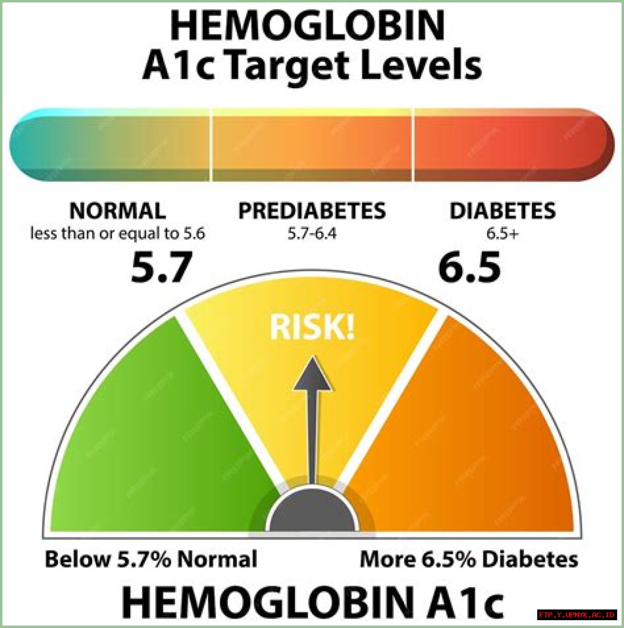 A Basic Guide To Maintaining Healthy Hemoglobin A1C Levels