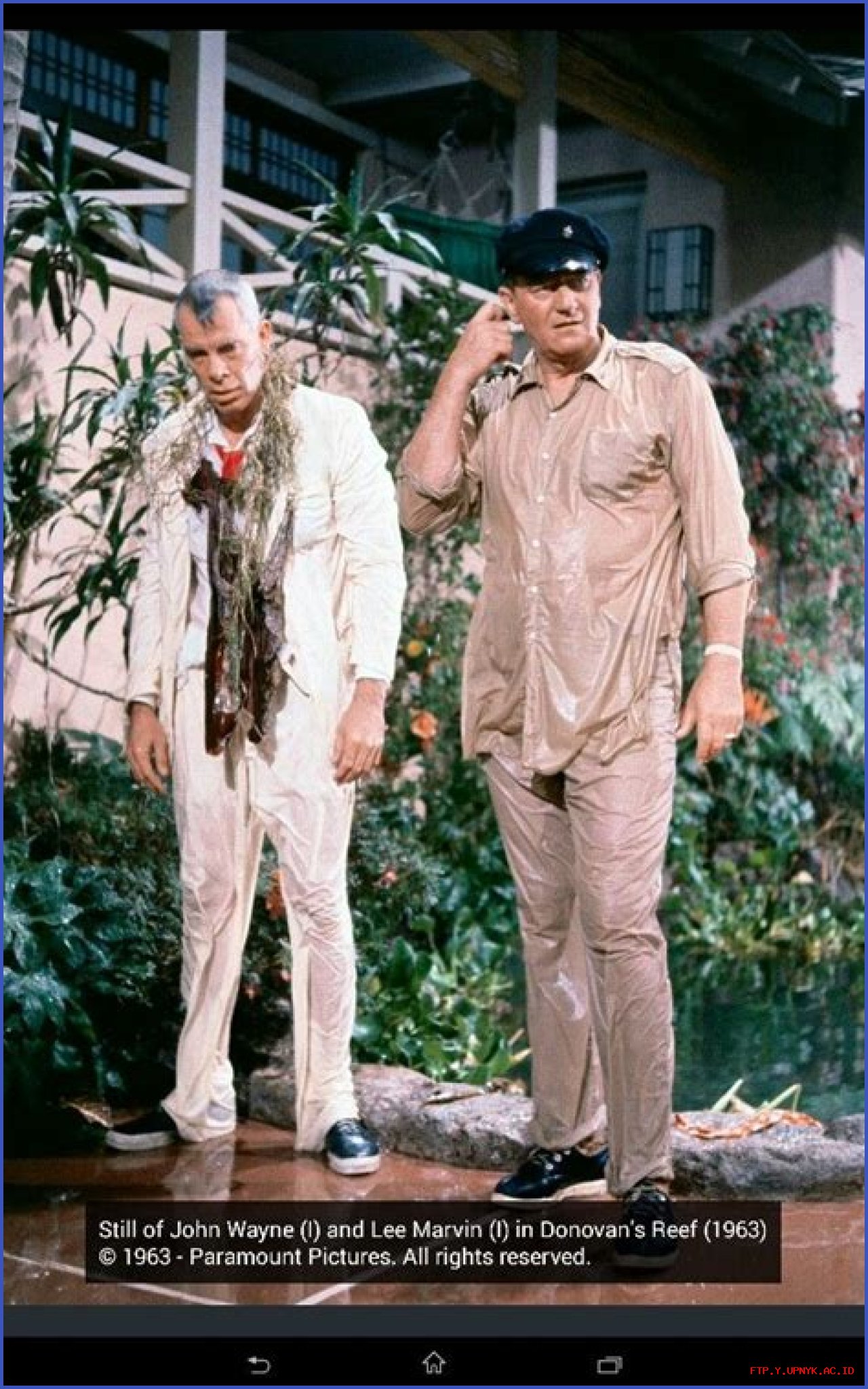 A Comprehensive Guide To Trevor Donovan's Notable Movies And TV Shows