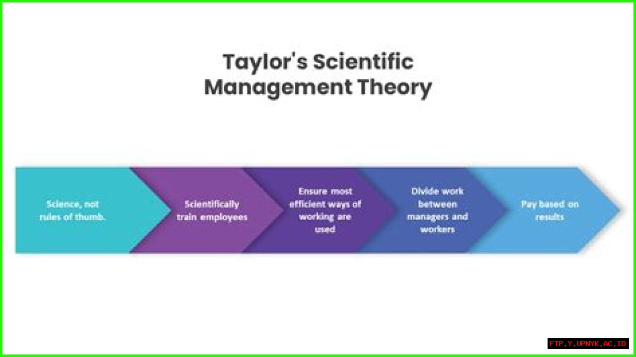 A Detailed Exploration Of Thomas Bailey's Net Worth In 2024