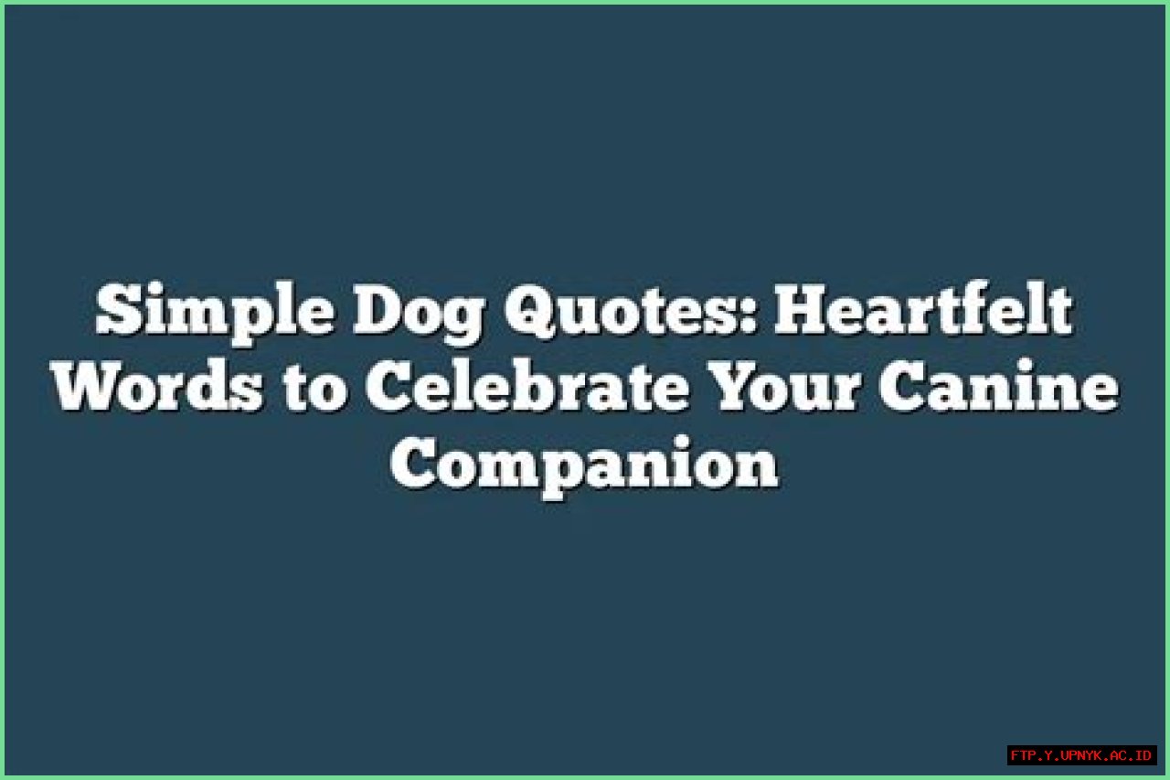 A Heartfelt Letter From Your Canine Companion: A Message From Your Furry Friend