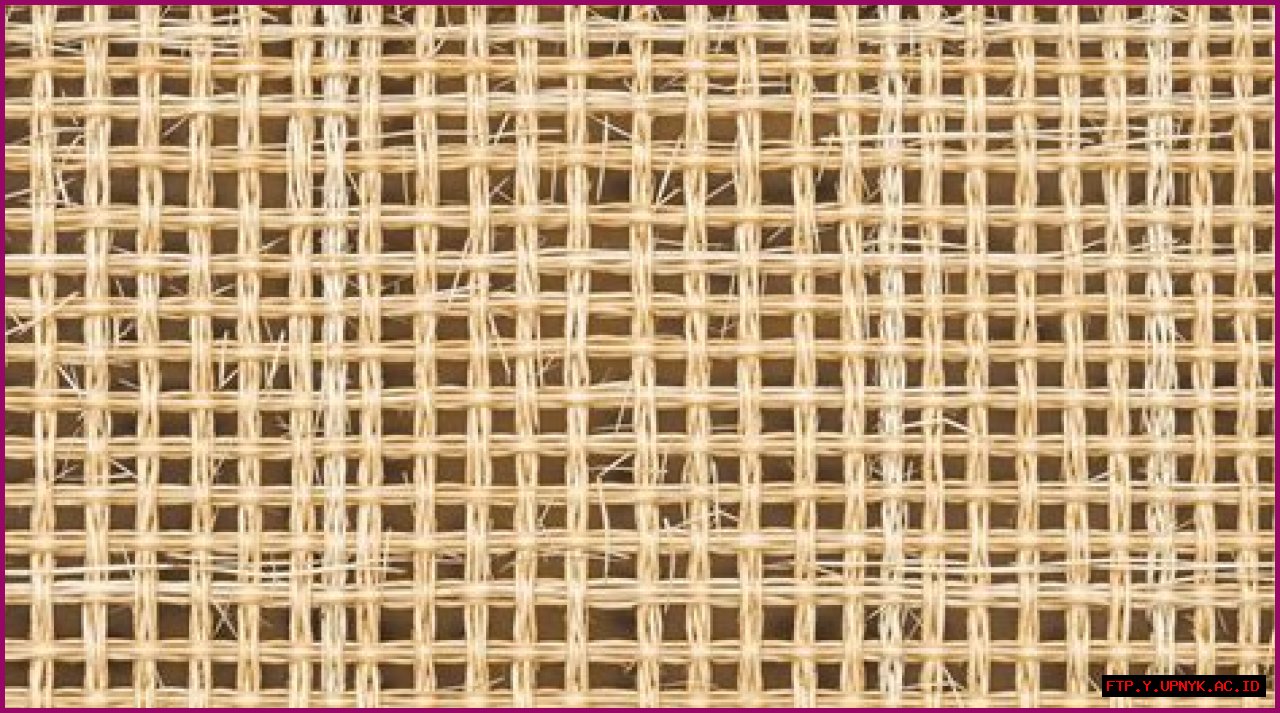 All About Porch People: A Comprehensive Guide