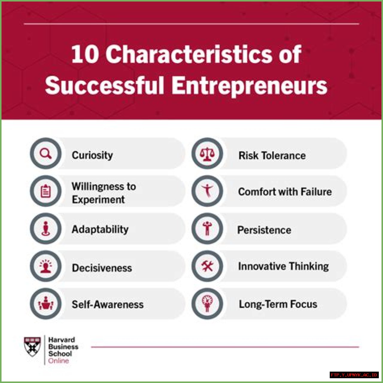Alyssa Cuban: The Inspiring Story Of A Successful Entrepreneur