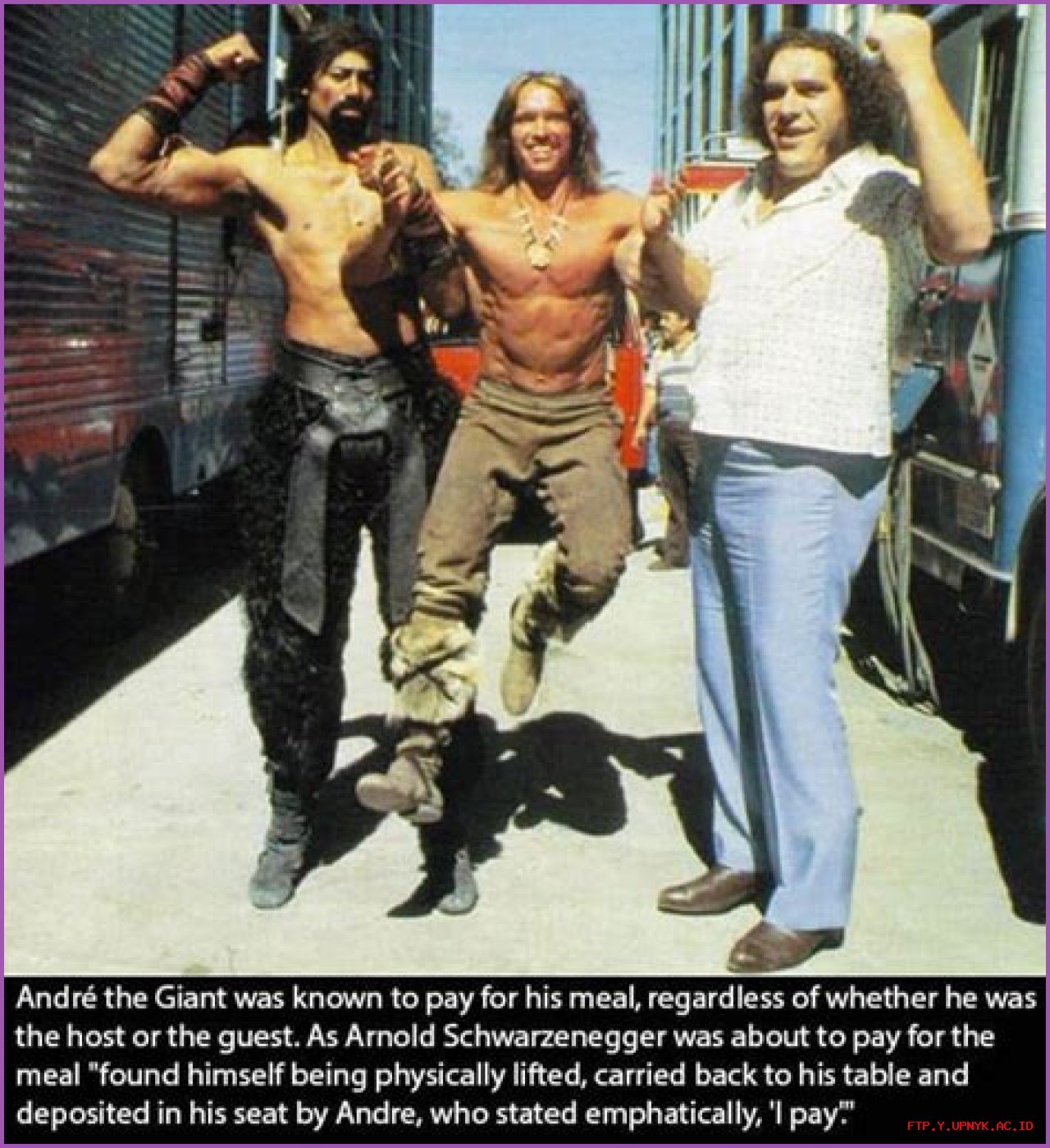 Andre The Giant: An Astonishing Height Explored