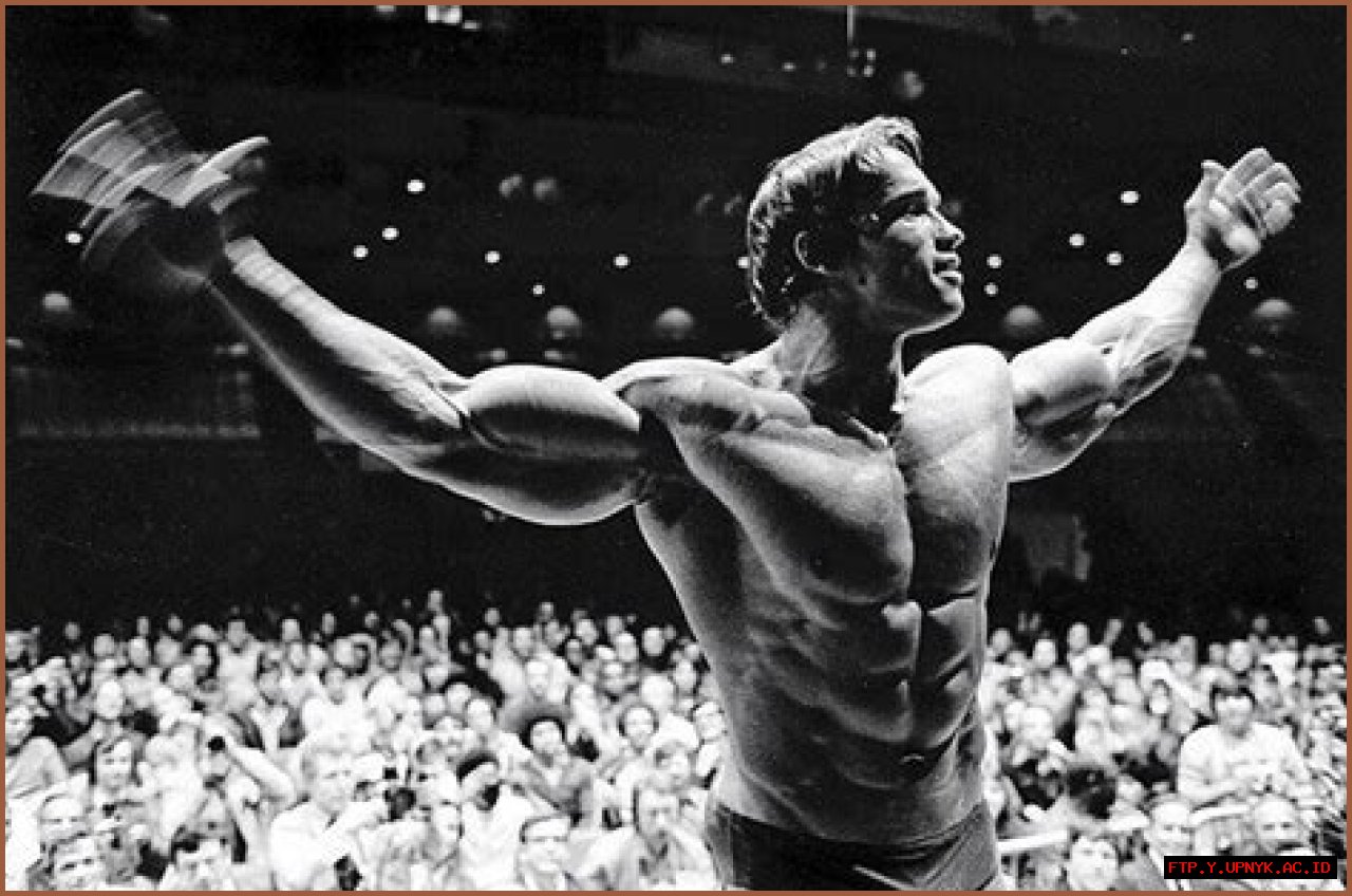 Arnold Schwarzenegger's Iconic Blue Ring: A Symbol Of Power And Success
