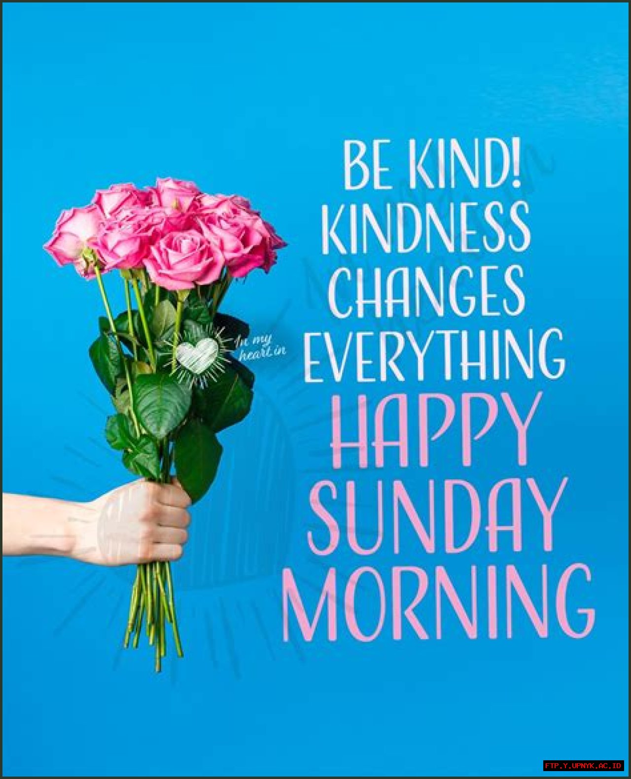 Astonishing Good Morning Sunday Pictures | Images That Brighten Your Weekends