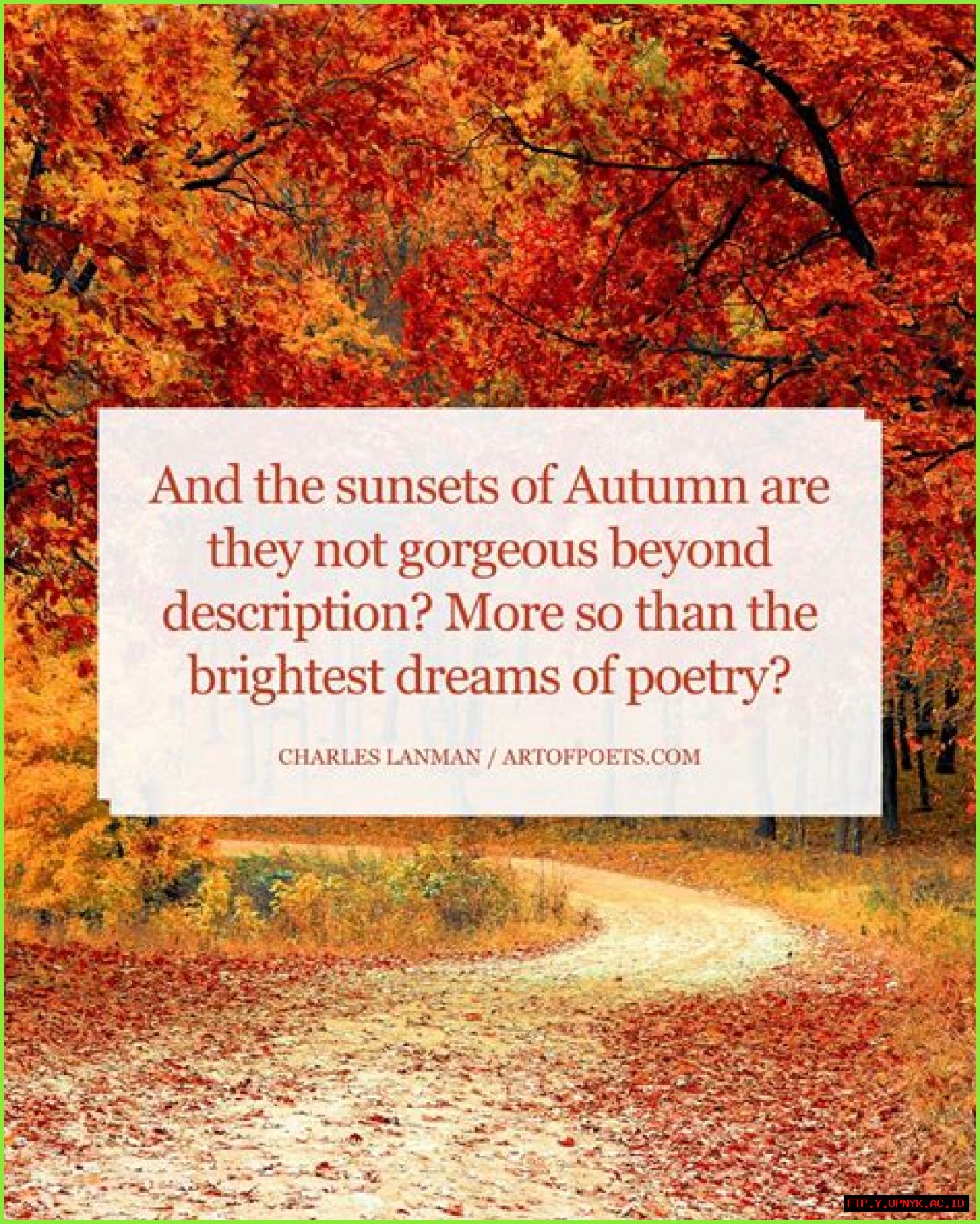 Autumn Splendor: The Beauty Of Autumn Heights