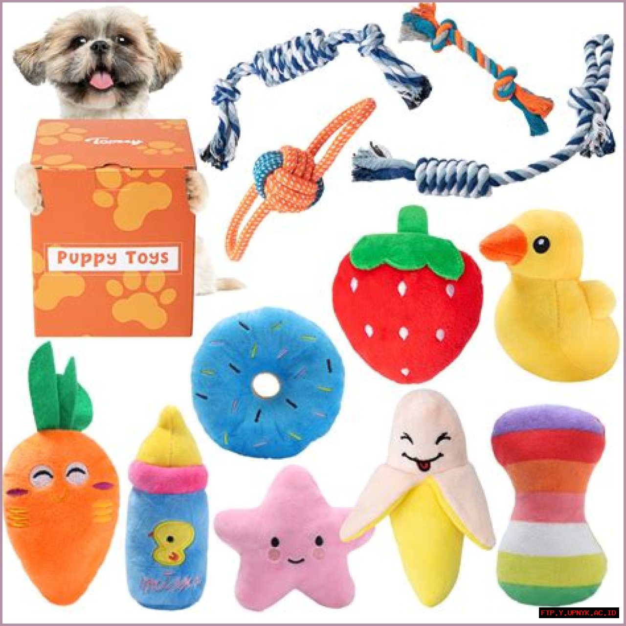 Best Human Dog Toys: Perfect For Improving Bond And Fun