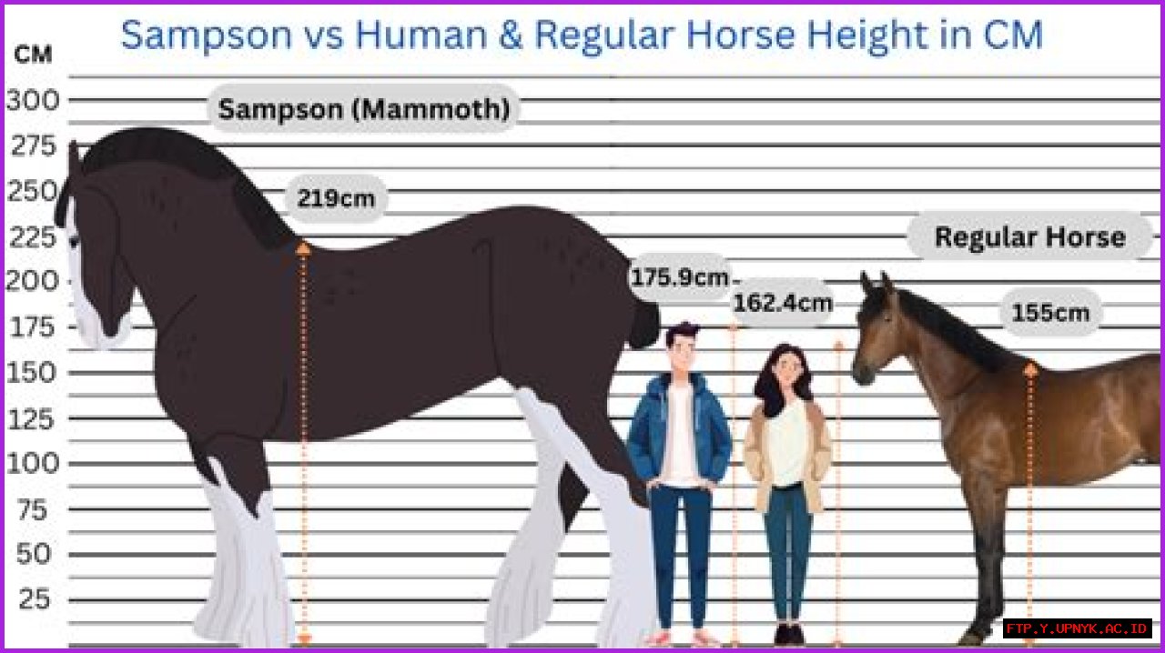 Bo Nix Stands Tall: Uncovering His Remarkable Height