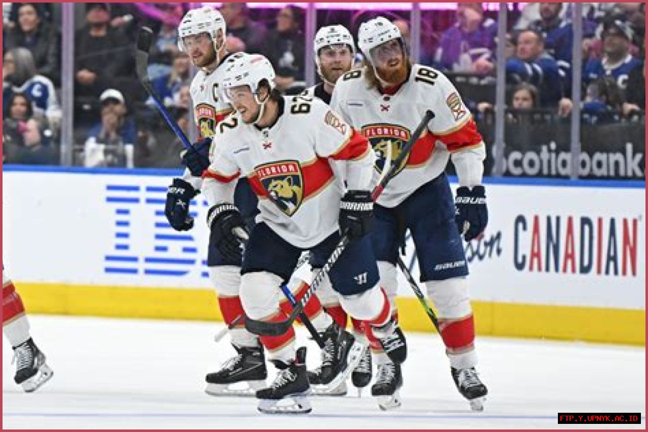 Brandon Montour: Top NHL Defenseman