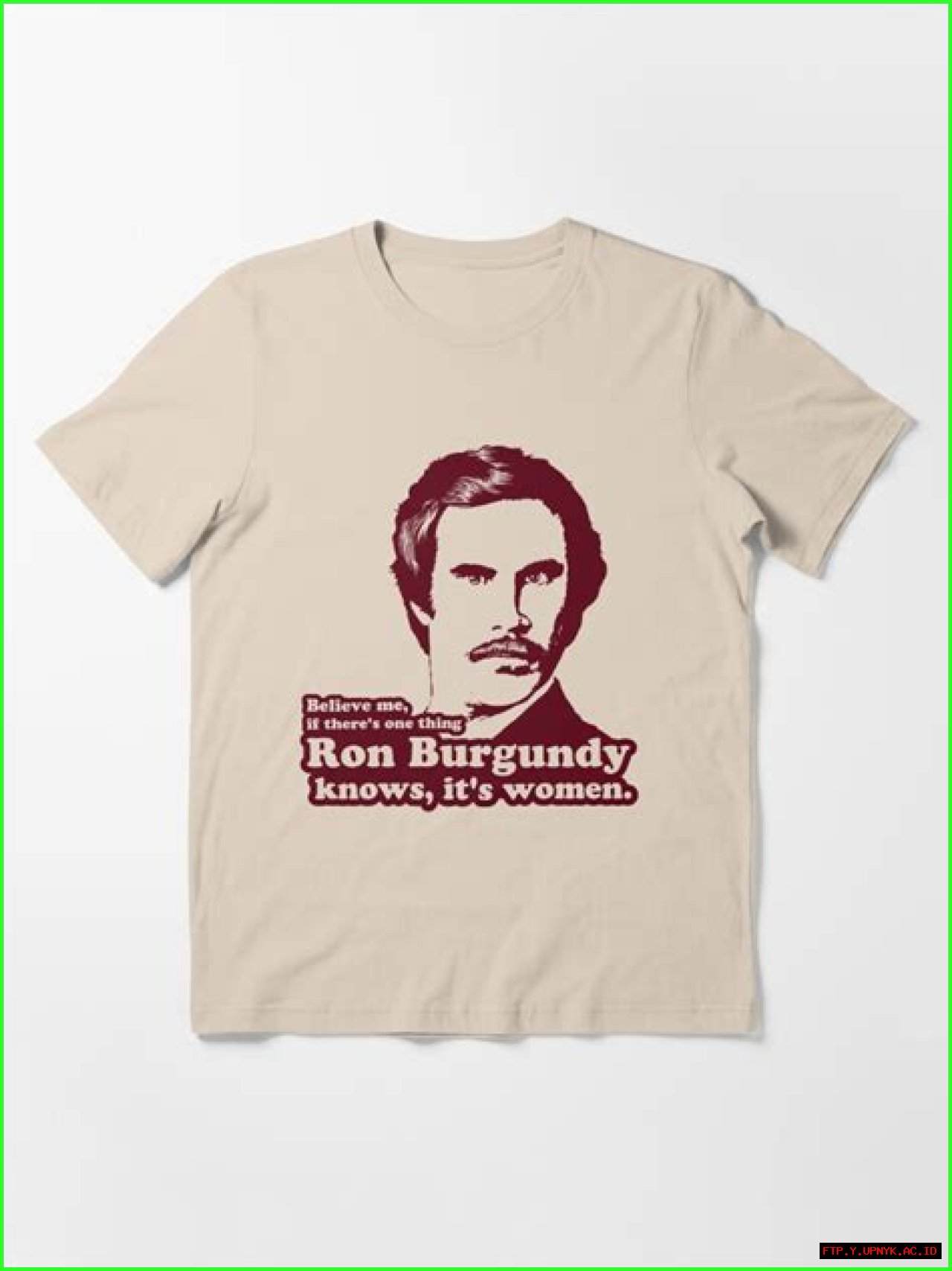 Burgundy's Best: Affordable Ron Burgundy T-Shirts For Fans