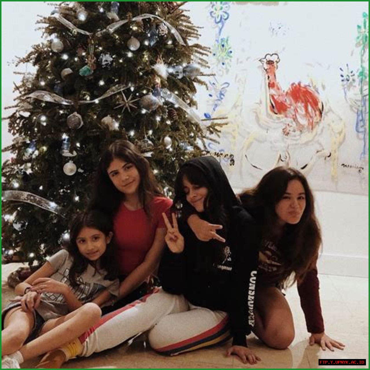 Camila Cabello's Family: A Look At Her Close-Knit Circle