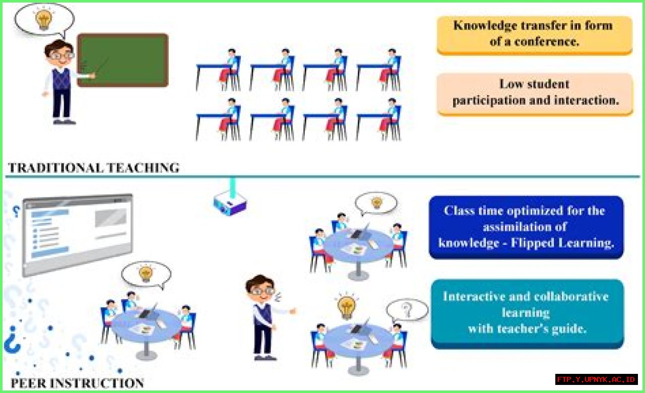Camilla Araujo Lems: An Innovative Approach To Education