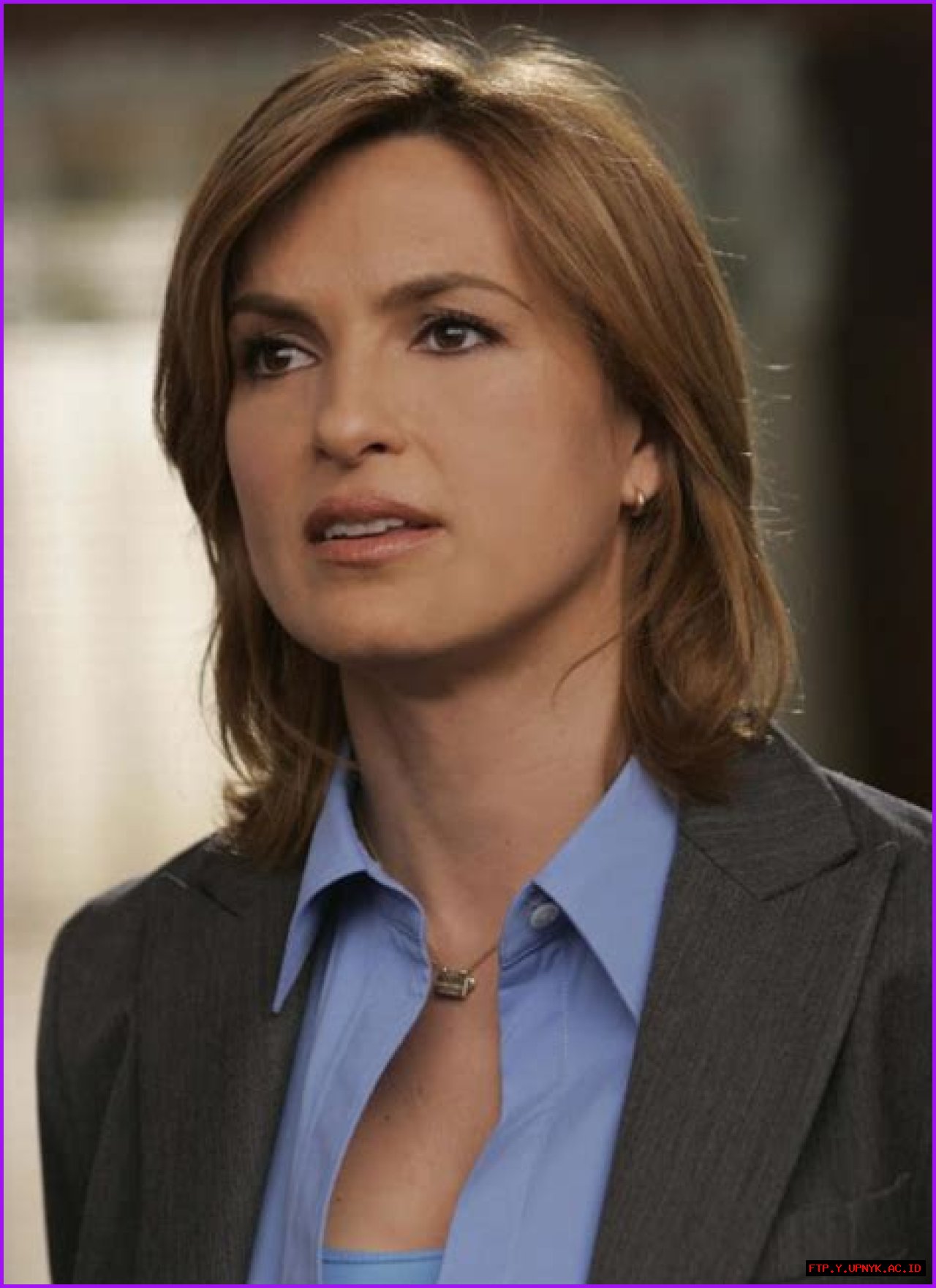 Captivating Mariska Hargitay's Law & Order Legacy