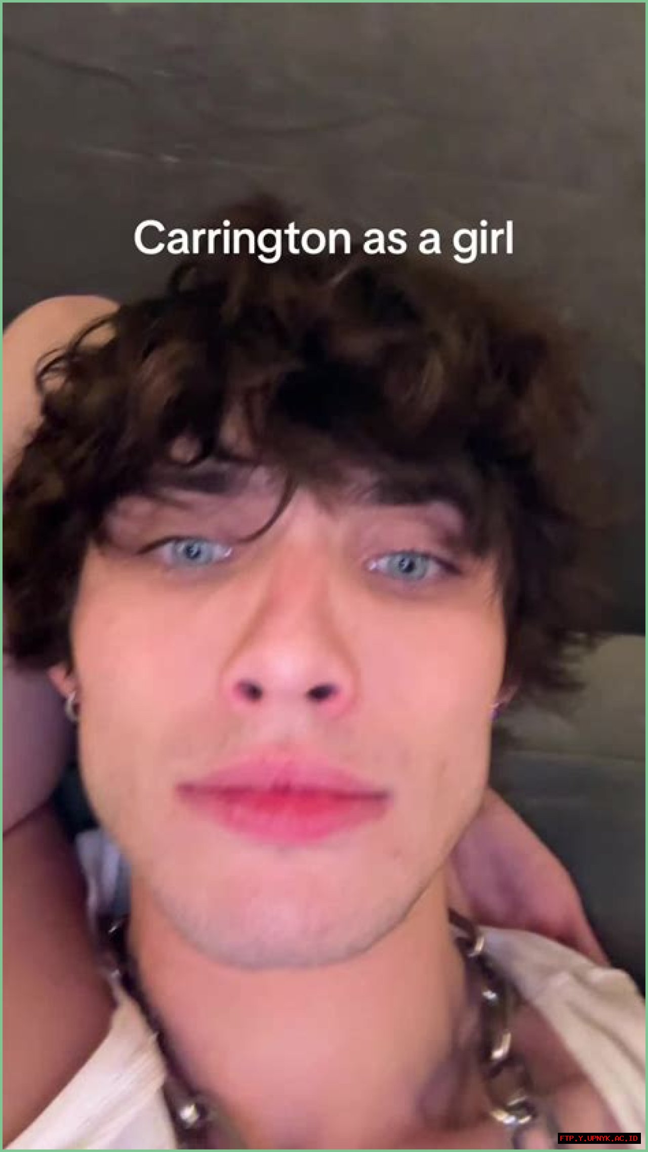 Carrington TikTok: Rising Star Of The Viral Video Era