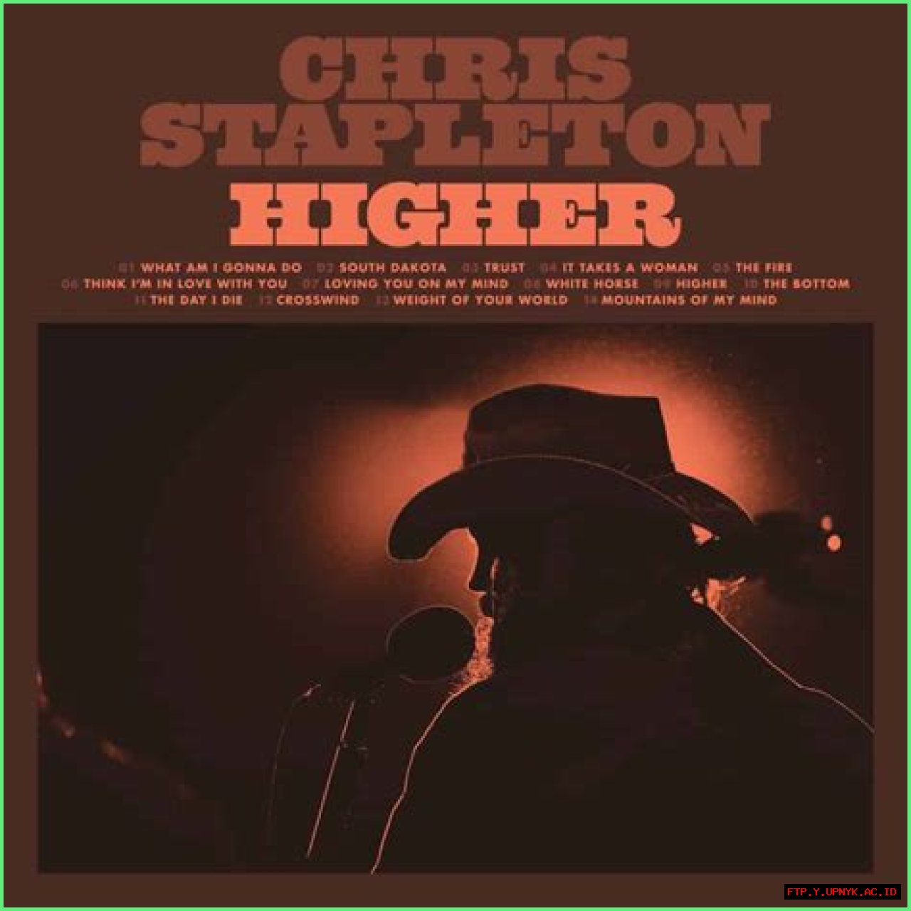Chris Stapleton's Political Views And Activism
