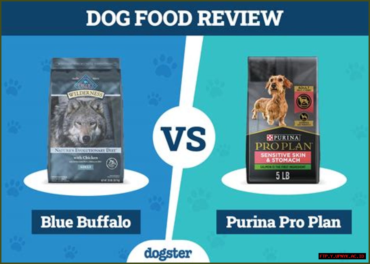 Comprehensive Comparison: Purina Pro Plan Vs. Blue Buffalo Dog Food