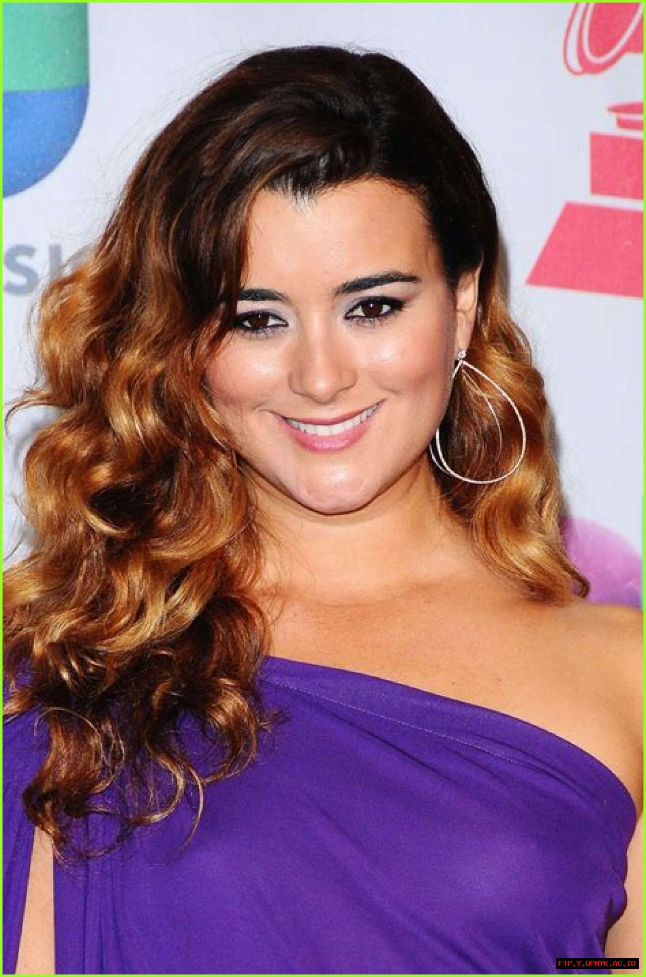 Cote De Pablo: Latest News, Today And Beyond