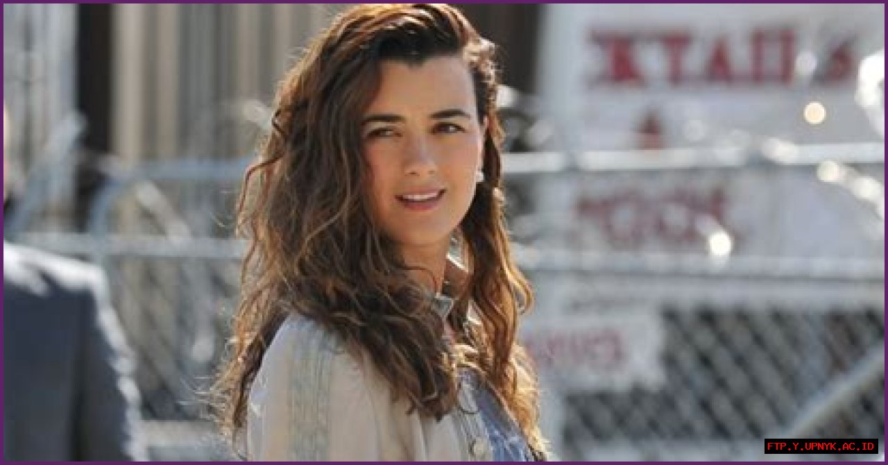 Cote De Pablo Movies And TV Shows: A Guide To Her Best Roles