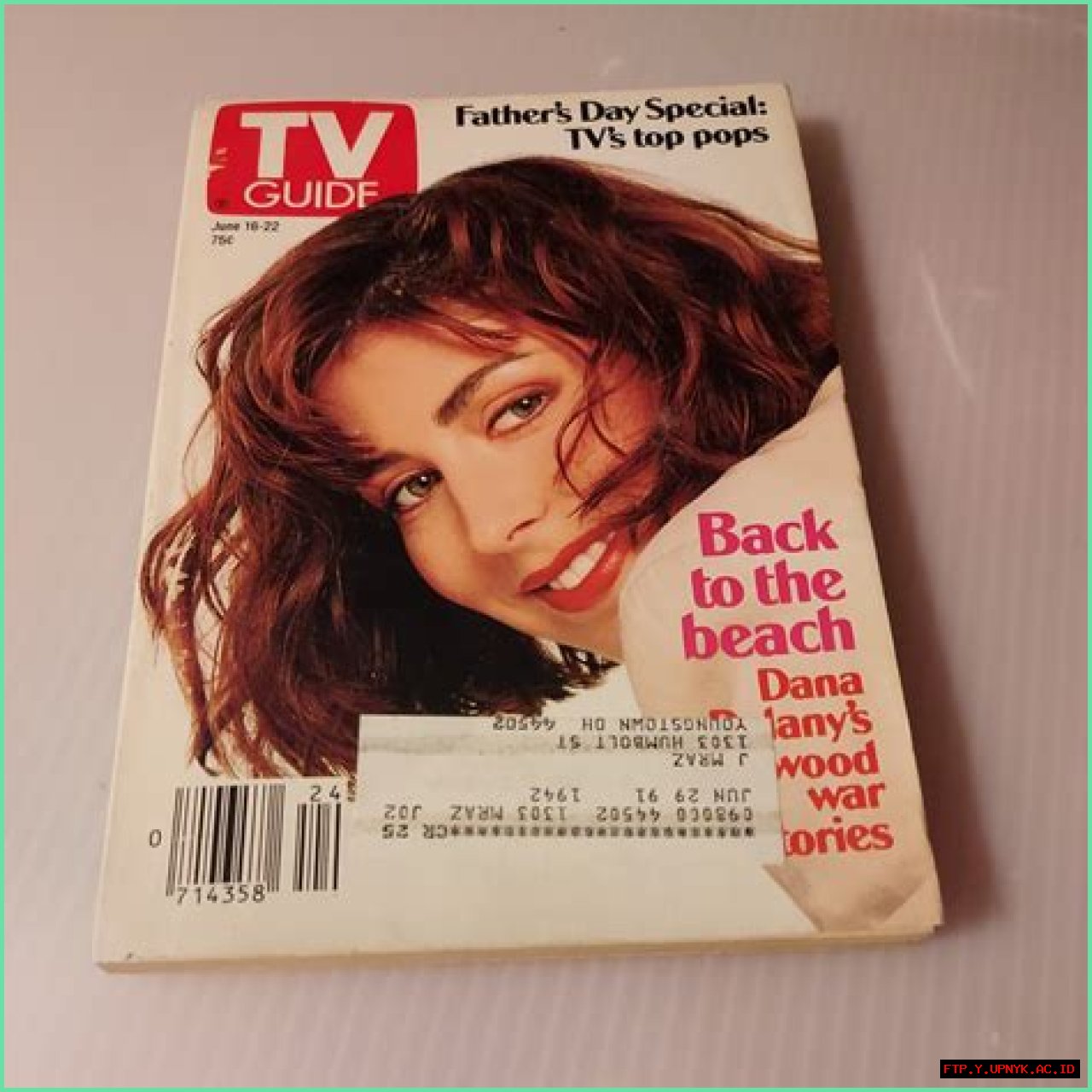 Dana Delany's Love Life: A Comprehensive Guide To Her Past Relationships