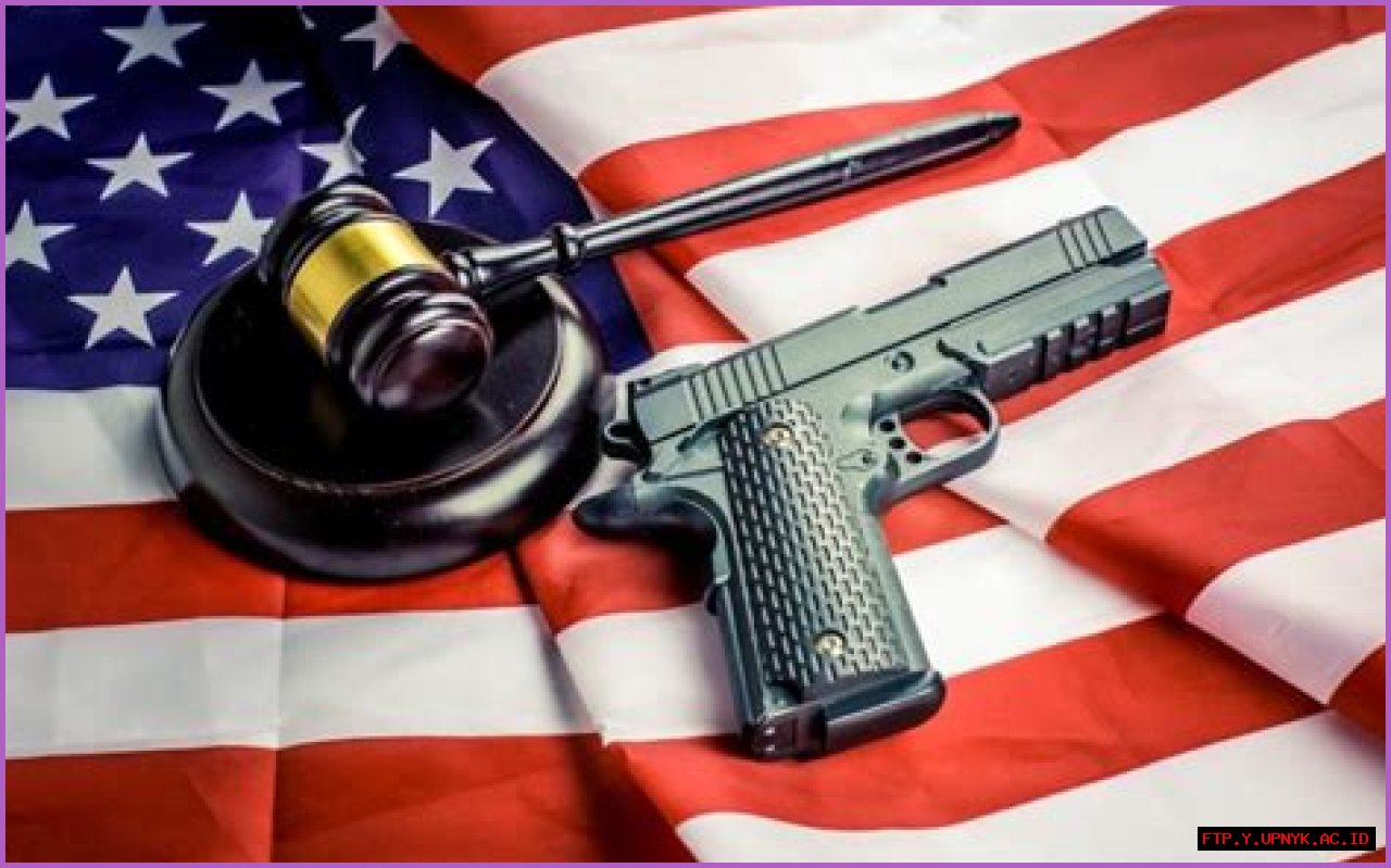 Dana Loesch On Politics And Gun Rights