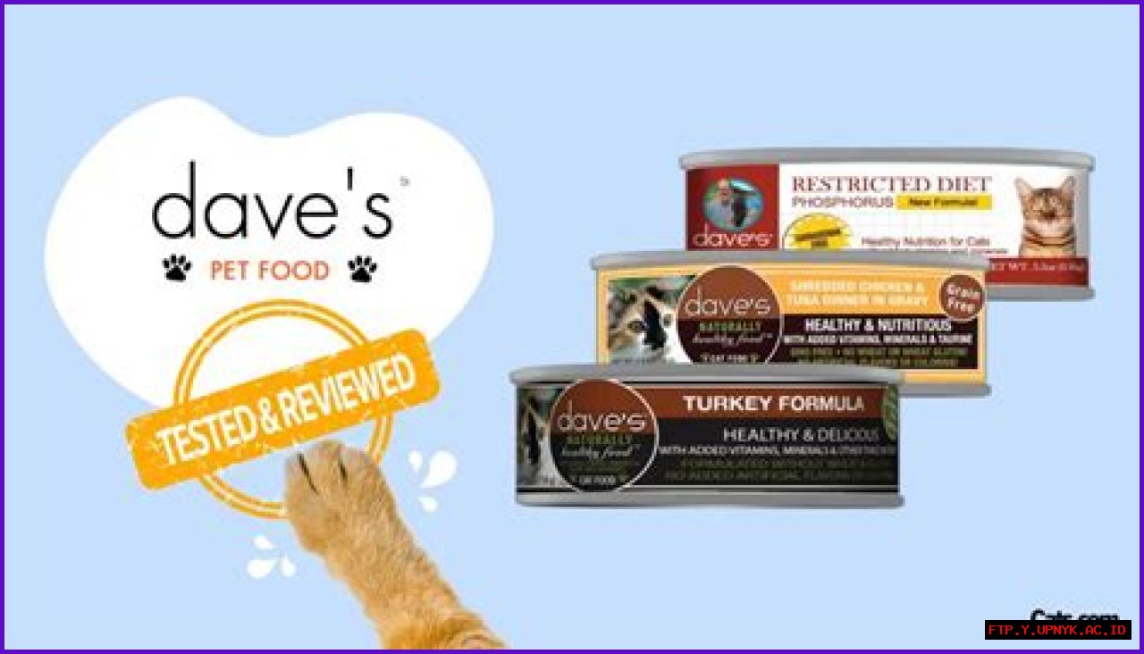 Dave's Expert Cat Food Reviews: Your Guide To The Purrfect Meal
