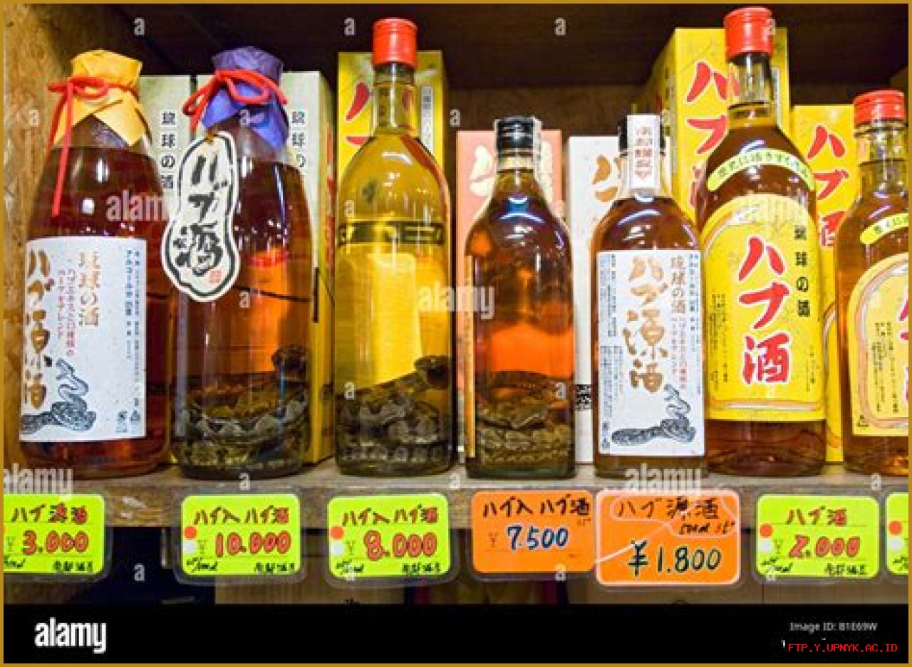 Discover Authentic Habushu: Your One-Stop Shop For The Exotic Habushu For Sale