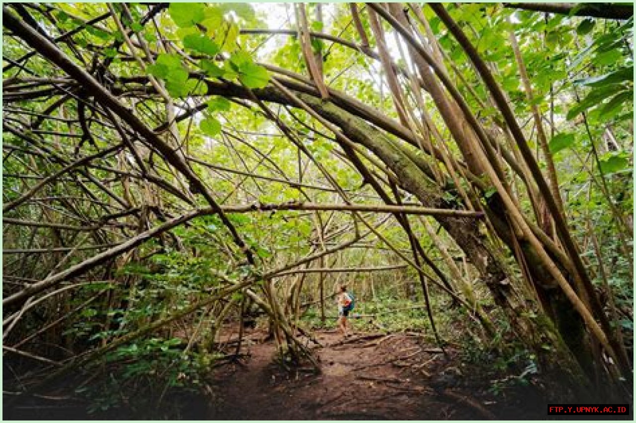 Discover Breathtaking Whoopi Falls: A Natural Wonder
