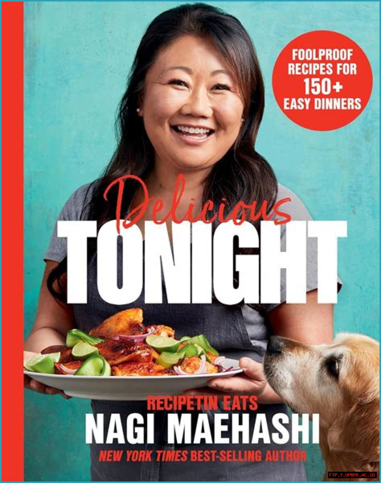 Discover Nagi Maehashi: A Comprehensive Wikipedia Profile