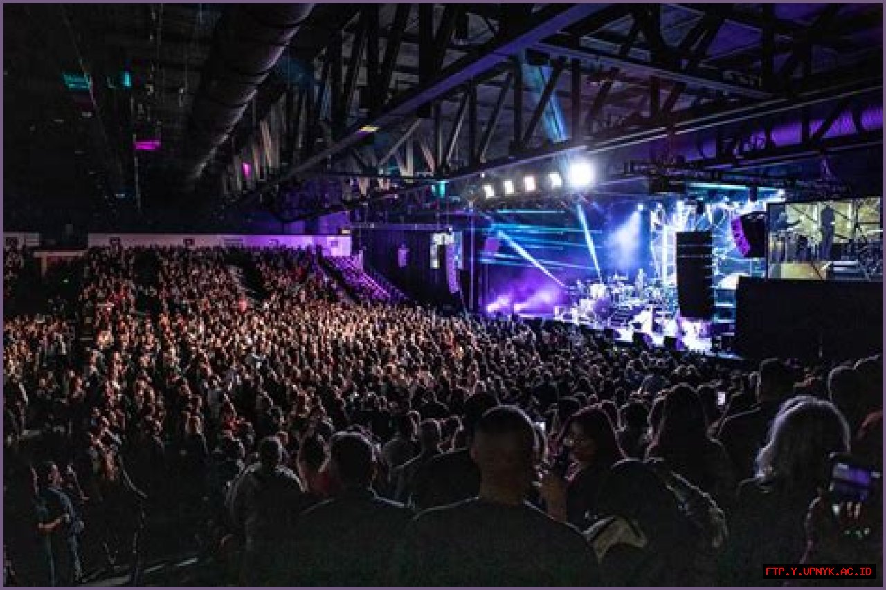 Discover Pitbull In Palm Springs: Unforgettable Entertainment