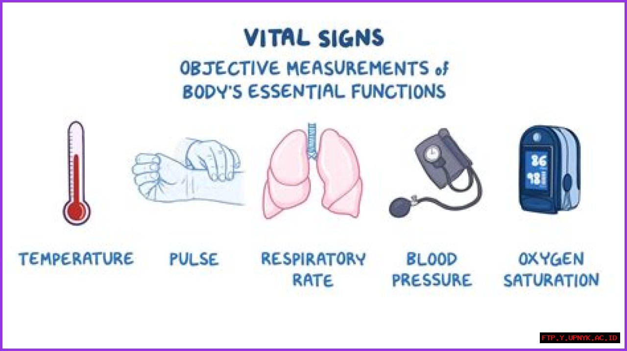 Discover Sara Saffari's Height | Vital Stats Unveiled
