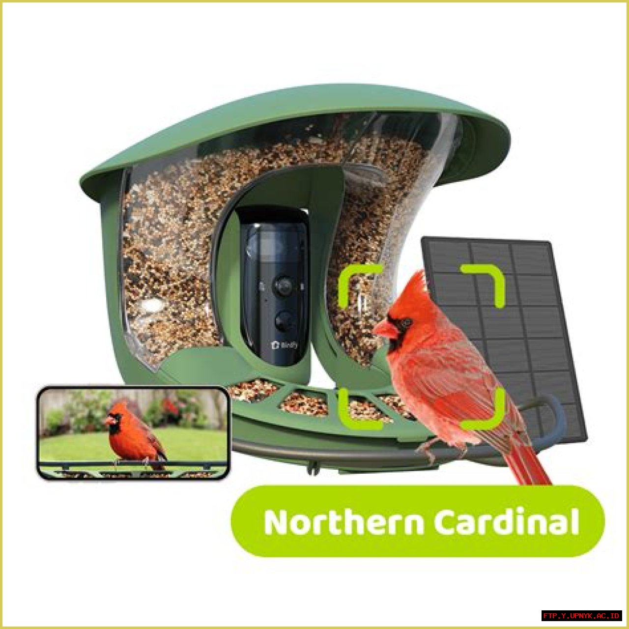 Discover The Amazing Ways Birds Navigate To Bird Feeders