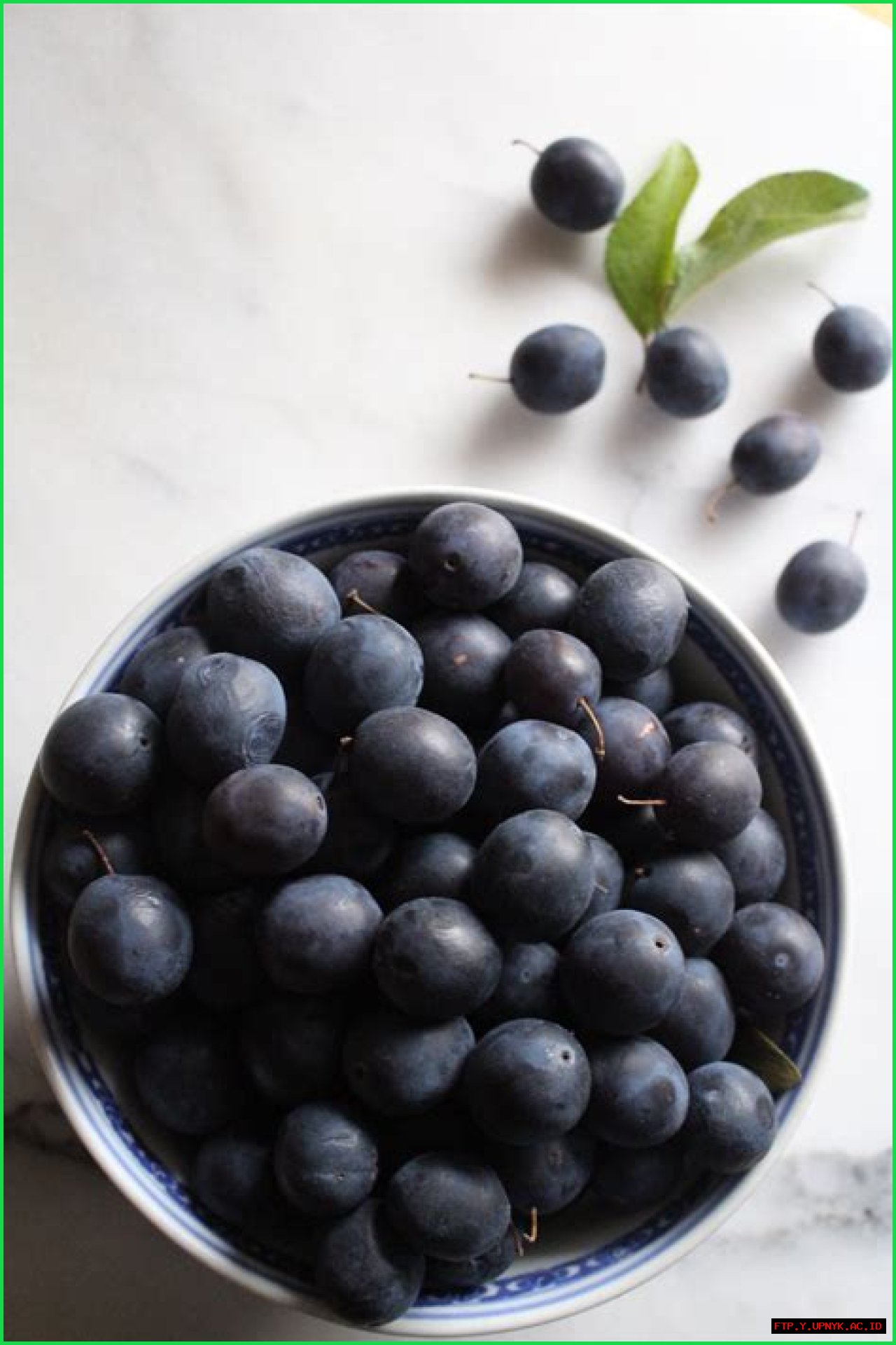 Discover The Diverse Damson Family: From Plums To Apricots
