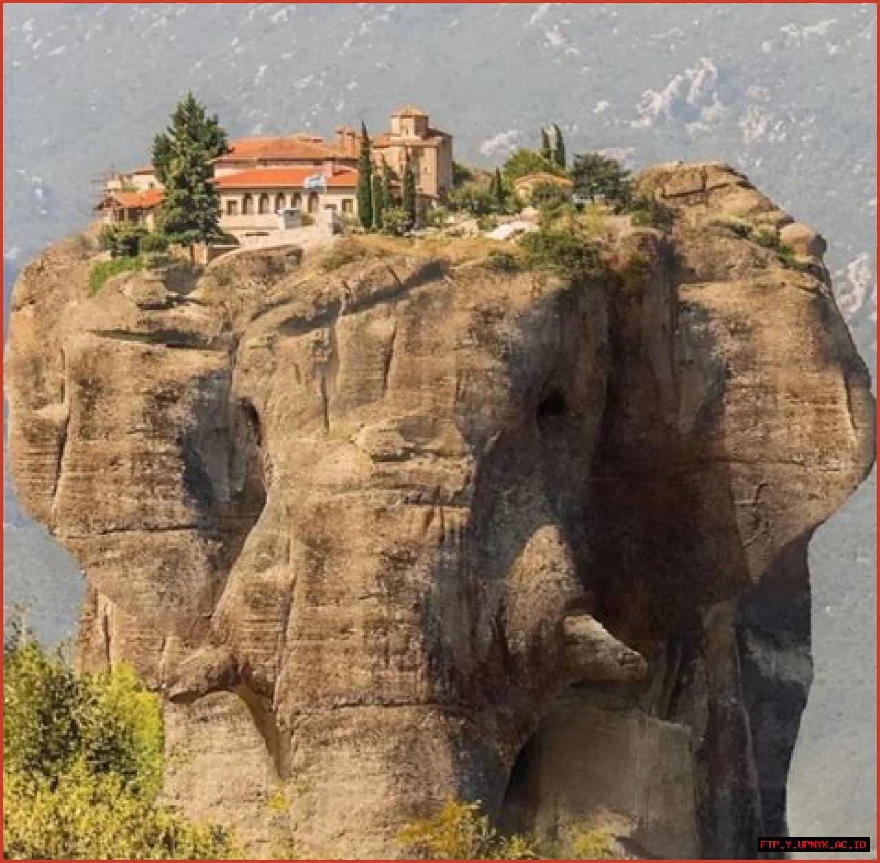 Discover The Enchanting World Of Coconut Kitty: The Feline With A Tropical Twist