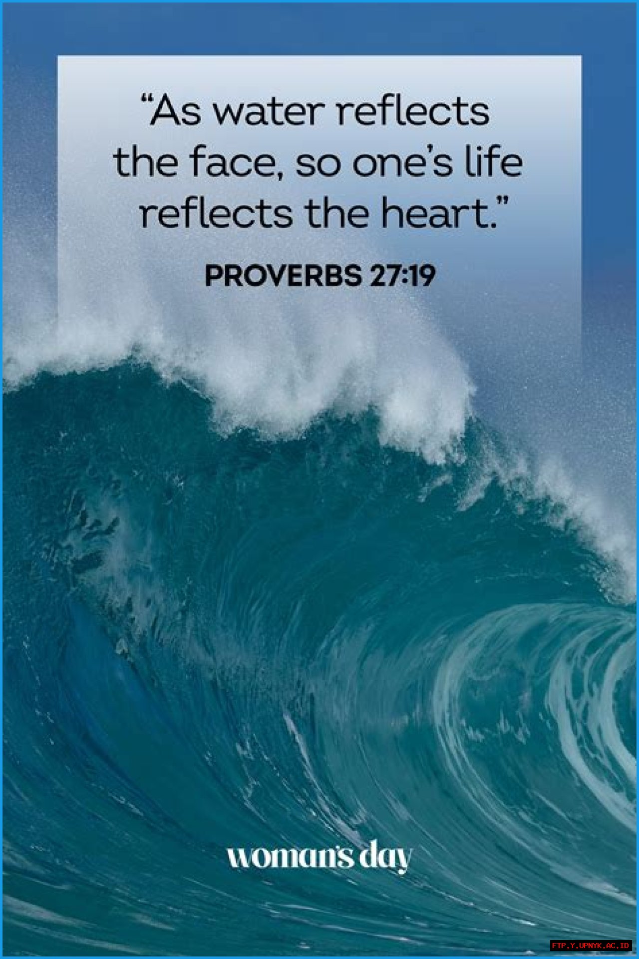 Discover The Power Of Bible Quotes In Stunning Photos
