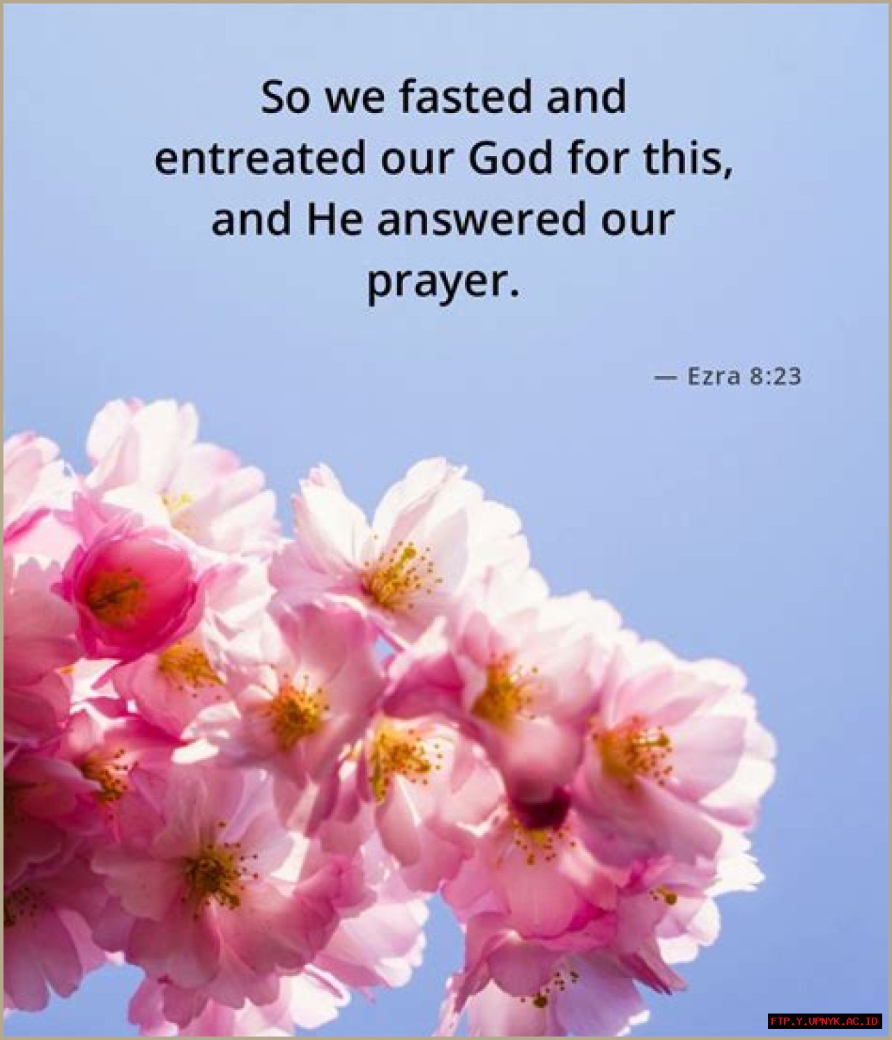 Discover The Power Of Fasting And Prayer: Inspirational Bible Verses