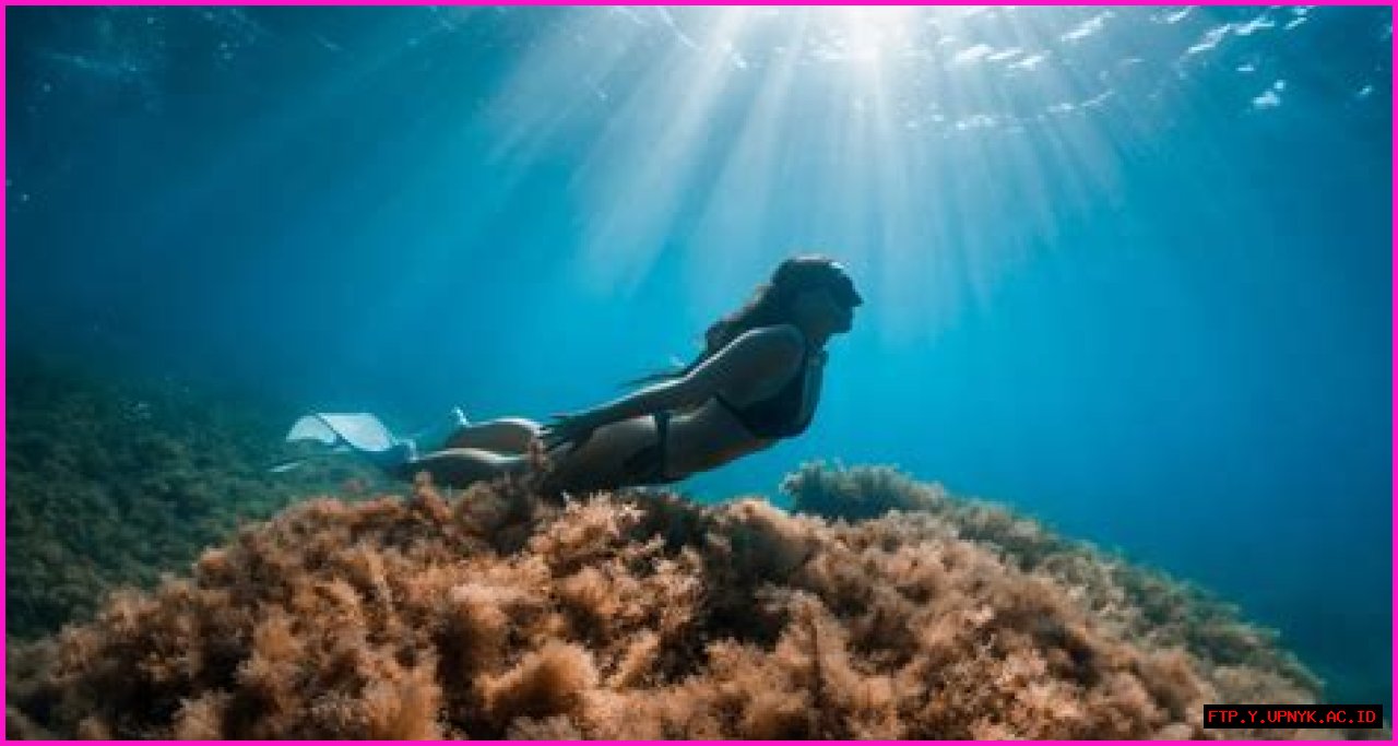 Discover The Ultimate Freediving Experience In Dahab With Stephen