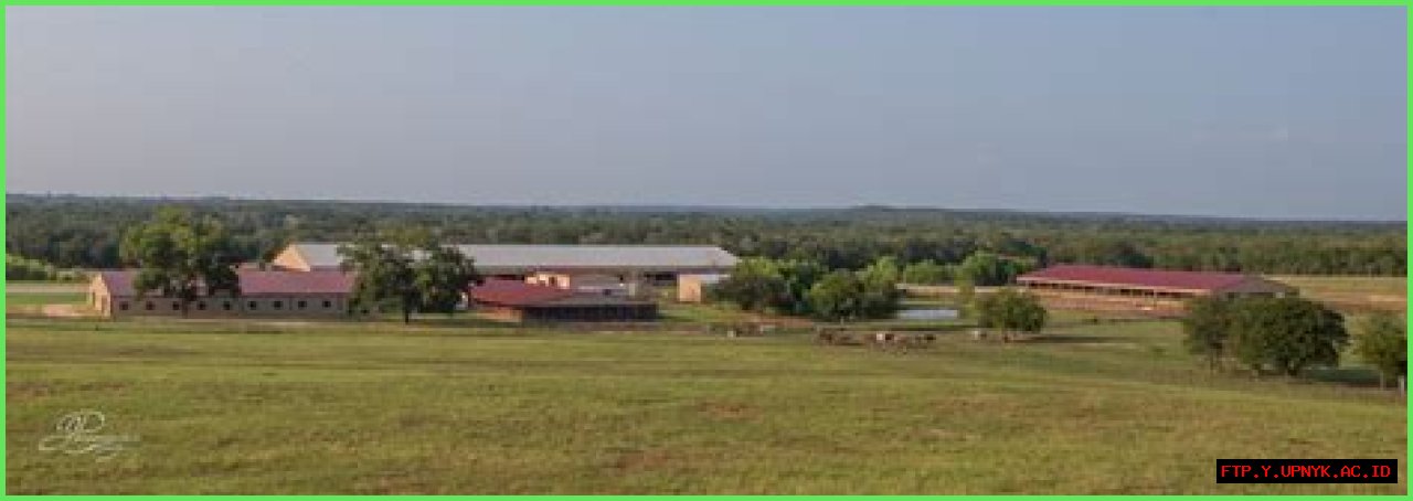 Discover Thomas Richard Ford's Cinder Lakes Ranch