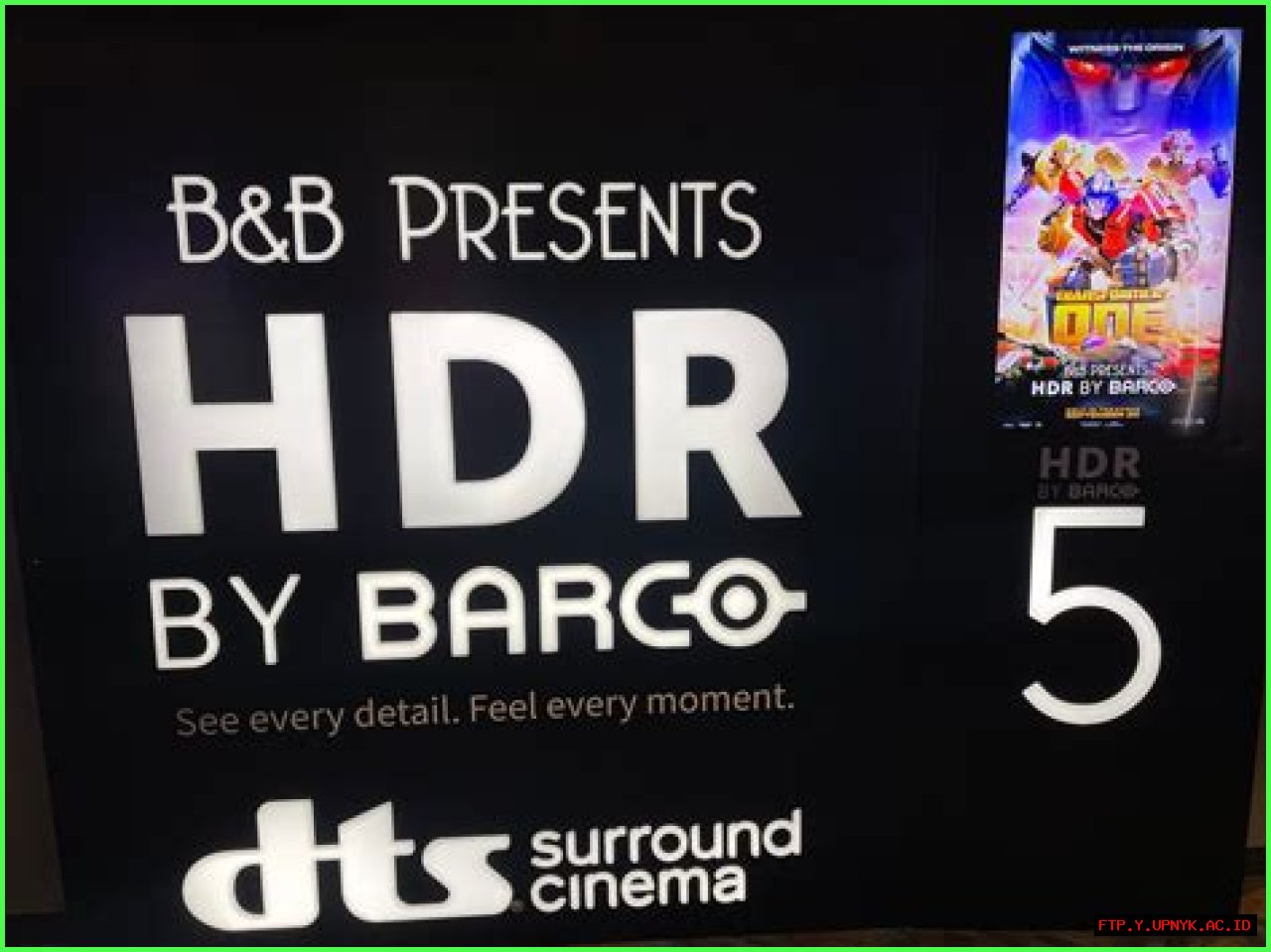 Discover Unforgettable Cinematic Experiences Like 'The Valet': Our Top Picks