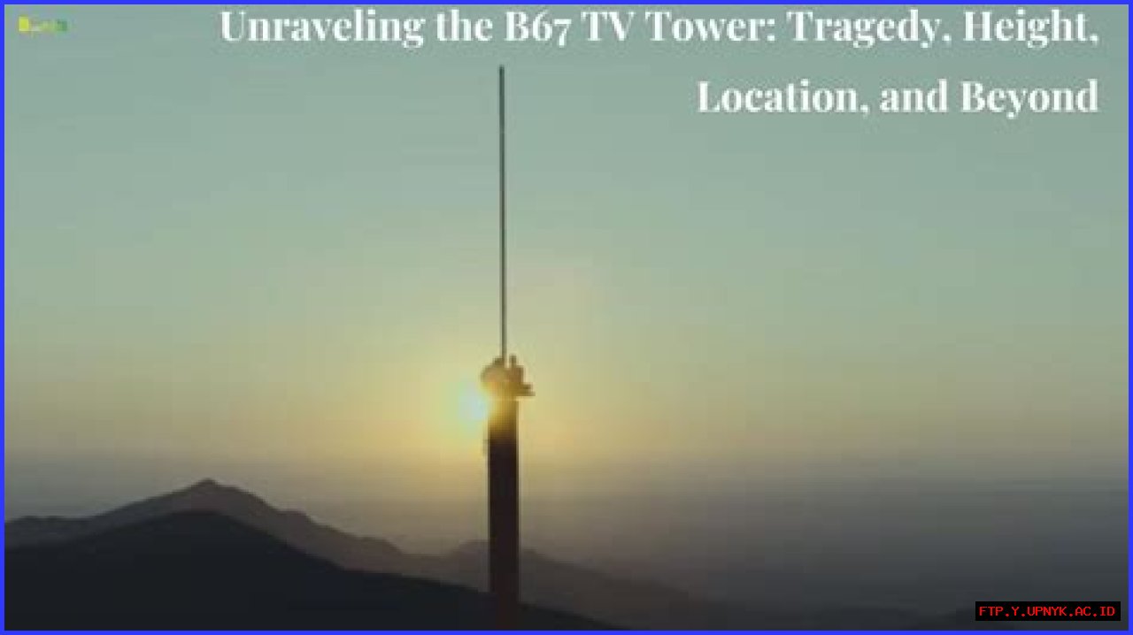 Discovering The Magic Of B67 TV: A Gateway To Entertainment
