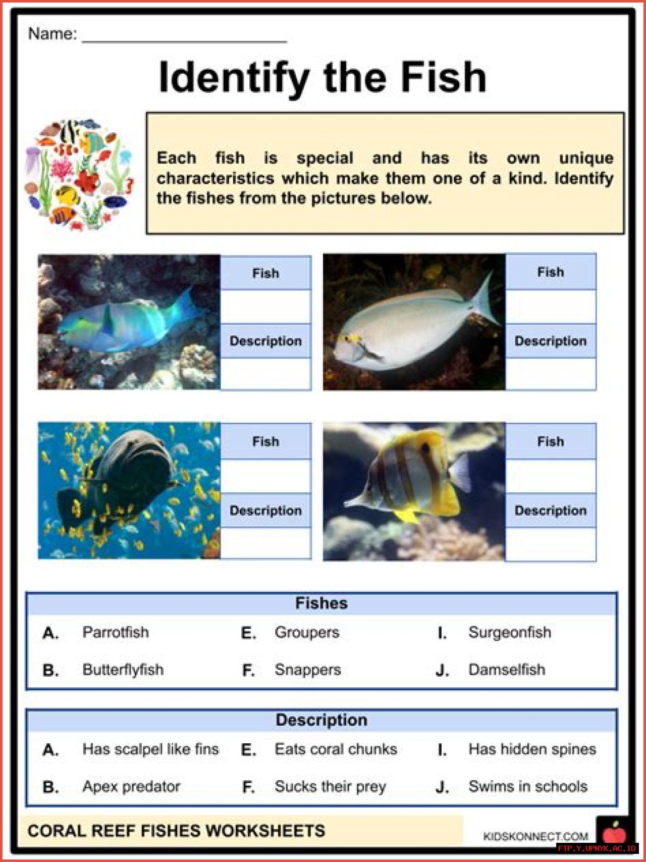 Dive Into The Wonders Of Coral Reefs: An Educational Word Search Extravaganza