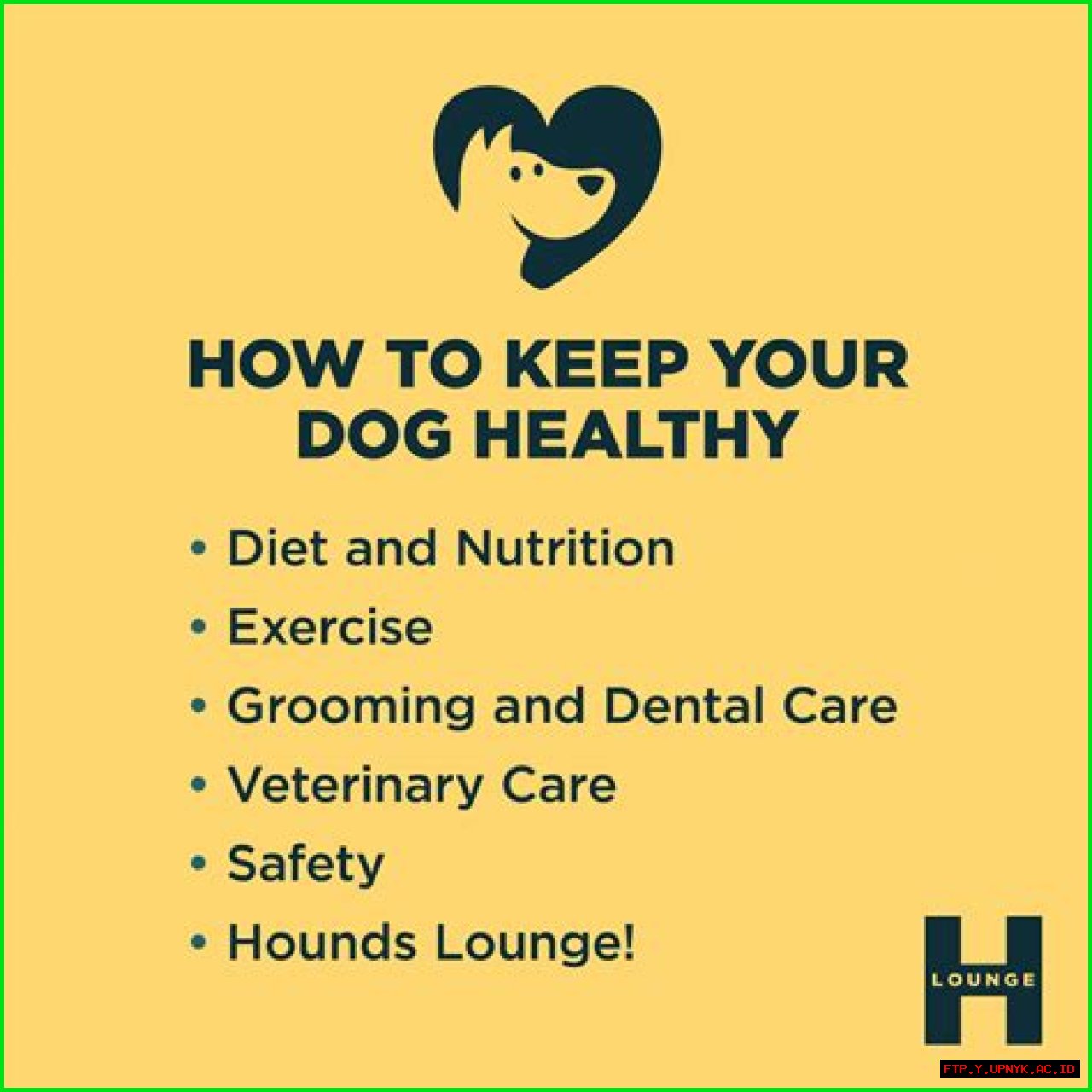 Doggone Good Tips For Fulfilling Your Dog's Needs