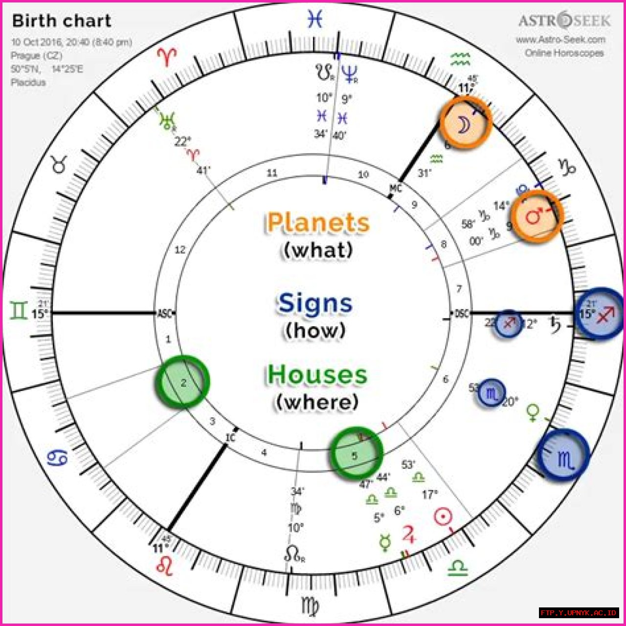 Drake Bell Birth Chart: Secrets Of His Astrological Profile Revealed