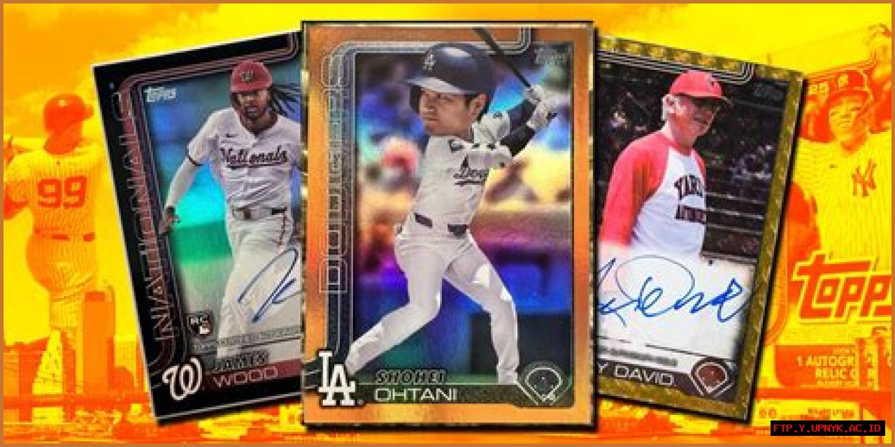 Drake's Baseball Card Collection: A Collector's Dream