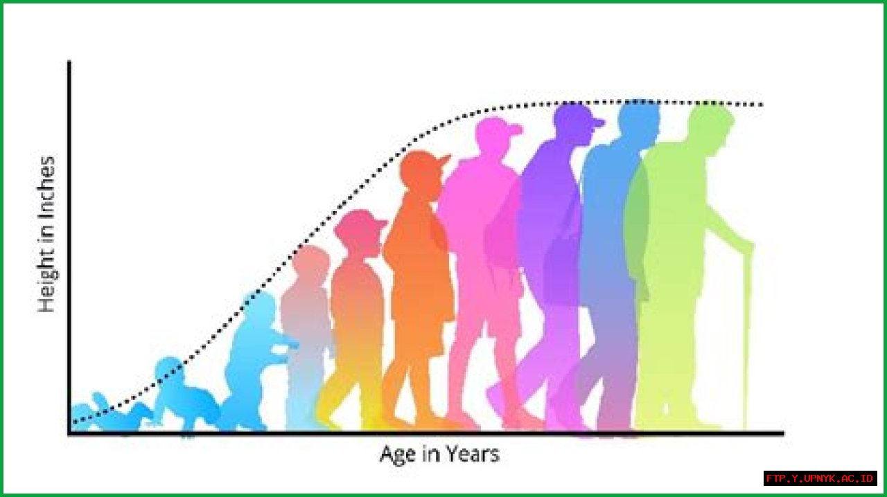 Dwarfs: Deeper Understanding Of Their Life Expectancy