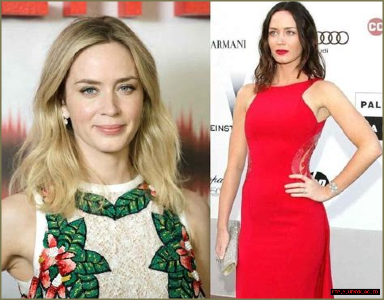Emily Blunt: Discovering The Weight And Height Of The Acclaimed Actress