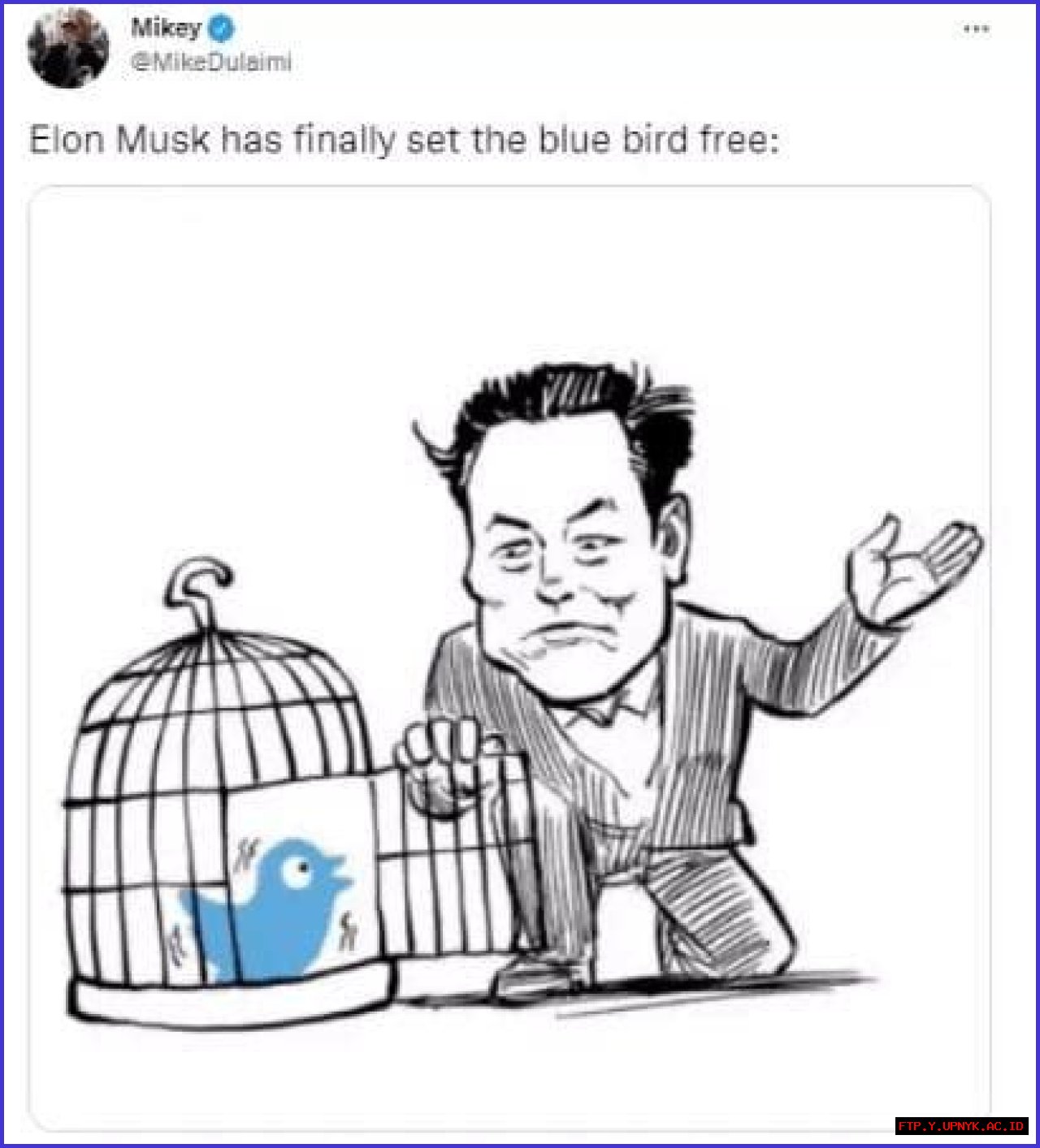Explicit Memes: Unveiling The Boundaries Of Humor