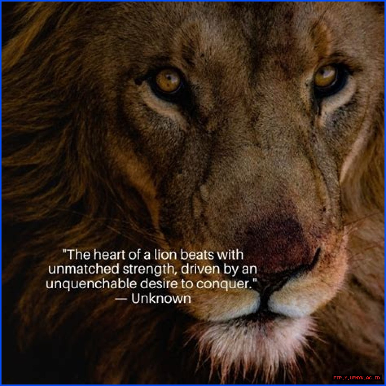 Explore The Bond: Inspiring Lion And Lioness Quotes