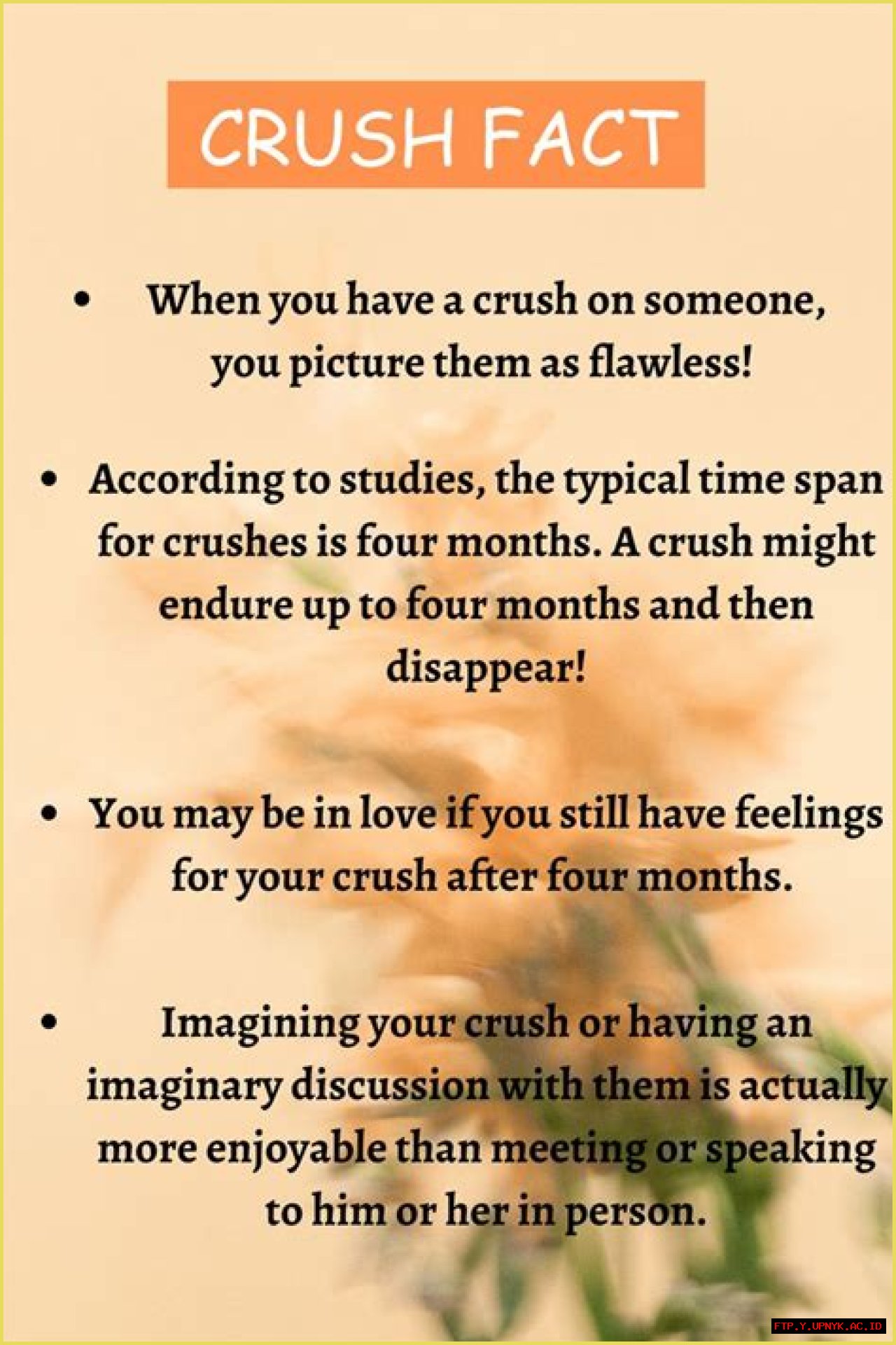 Exploring The Fascination Of Man Crushes