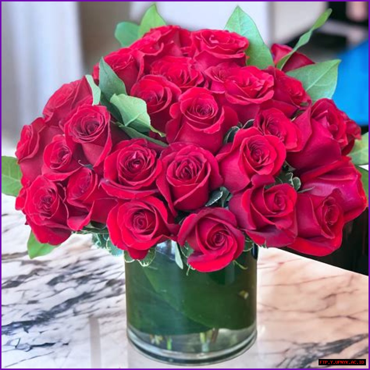 Exquisite Roses Delivered With Care | RoseOnly US
