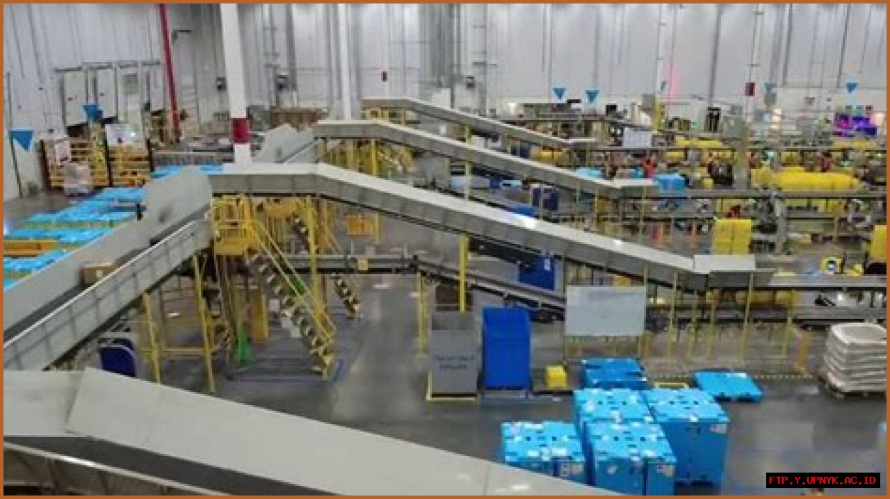 Eye-Catching Amazon Jax7 Photos | Shop Now